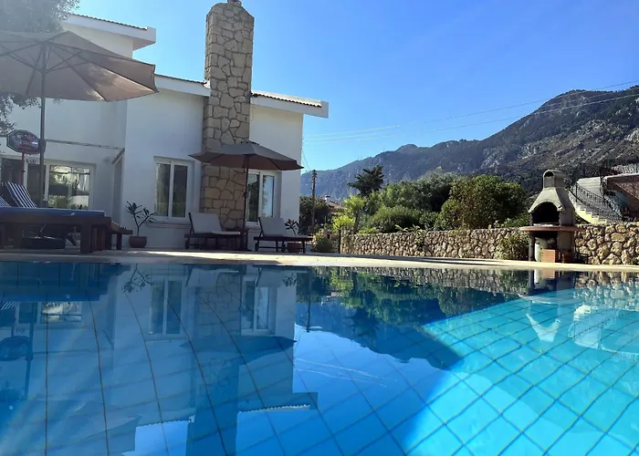 Villa Zeytin Vasilia photo